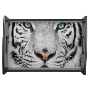 White Tiger Food Trays