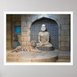 White Tiger  Framed Print