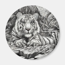 WHITE TIGER FRIDGE MAGNETS