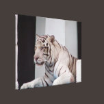 White Tiger canvas prints