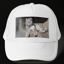White tiger Hat hats