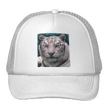 White Tiger, Hat