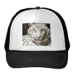 White Tiger Hats