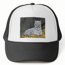 WHITE TIGER in FALL FOLIAGE hats