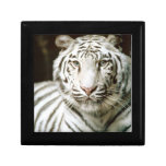 White Tiger Keepsake Boxes