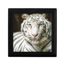 White Tiger Keepsake Boxes