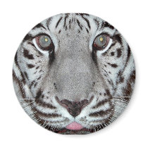 White Tiger Fridge Magnets