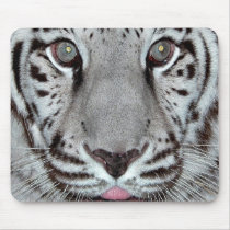 White Tiger Mouse Mats