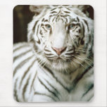 White Tiger Mousepads