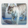 White Tiger Mouse Pads