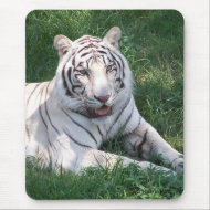 White tiger on green grass vertical frame picture mousepad