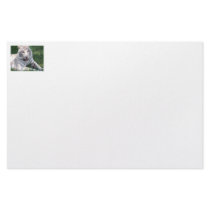 White tiger on green grass vertical frame picture stationery design