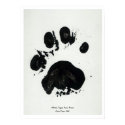 White Tiger Paw Print Poster