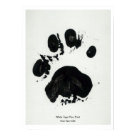 White Tiger Paw Print Poster