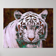 white tiger- pop art poster