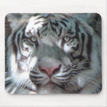 White Tiger Portrait Mousepad