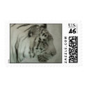 White Tiger postage by FredzCards White Tiger postage