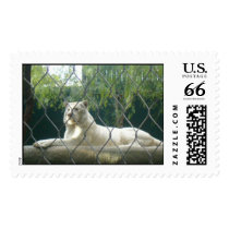 White Tiger postage