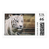 White Tiger postage