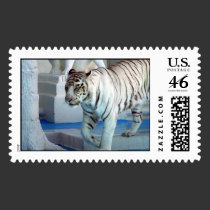 White Tiger Postage Stamp