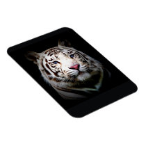 White Tiger Magnets