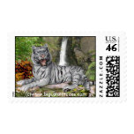 White Tiger Stamp