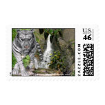 White Tiger Stamps 2