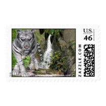 White Tiger Stamps 2 stamps