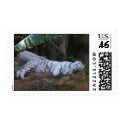 white tiger stamps by lizzymmmcf white tiger stamps
