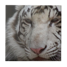 White Tiger Tile
