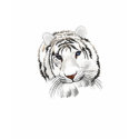 White Tiger t-shirts