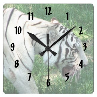White Tiger walking by Susan L Marsh Clocks