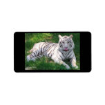 White Tiger with Blue Eyes Licking Nose Personalized Address Label