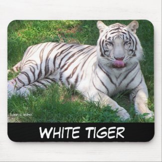 White Tiger with Blue Eyes Licking Nose mousepad