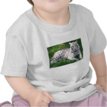White Tiger with Blue Eyes Licking Nose Tee Shirts