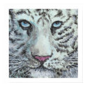 white tiger with border posters by yioryia white tiger with border posters