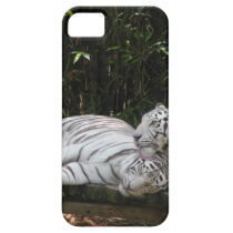 White Tigers iPhone 5 Barely There™ Case casemate cases