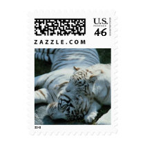 White tigers postage 043 stamps