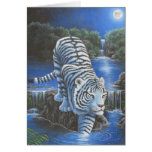 White Tirger Cards