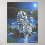 White Tirger Print