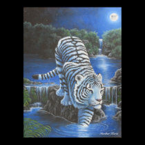White Tirger posters