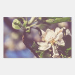 White tree flower stickers