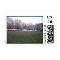 white tree postage by hippie216 white tree postage