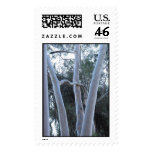 white trees Griffith Park Postage