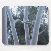 white trees mousepad