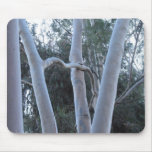 white trees mousepad
