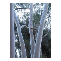 white trees poster posters by DonnaGrayson white trees poster posters