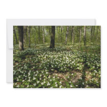 white Trilliums, Morgan Arboretum, Montreal, Quebe Custom Invitation