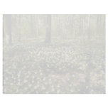 white Trilliums, Morgan Arboretum, Montreal, Quebe Letterhead Design