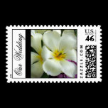White Tropical Flower Postage Stamp stamps